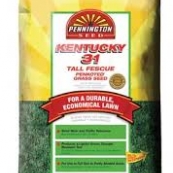 81954 20LB KENTCKY 31 GRS SEED
DISCONTINUED - TO BE REPLACED
WITH SKU 25K31