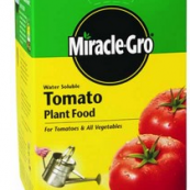 200042 1.5LB.MIRACLE-GRO TOMATO
