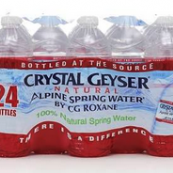 24514-7 SPRING WATER 16.9OZ