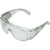 817691 SAFETY GLASSES ECONOMY