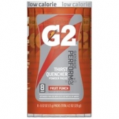 32866 20OZ.FRUIT PUNCH GATORADE