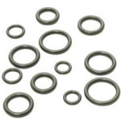 PP810-2 O RINGS LARGE ASSORTED