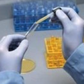 PVG-100G DISPOSABLE GLOVE 100PK