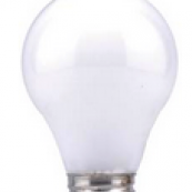 25W SOFT WHITE LIGHT BULB 2PK   
LO