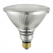 16738 60W/PAR38 HALOGEN FLOOD
IN/OUTDOOR 120V REPLACEMENT 60W
DISCONTINUED - ORDER SKU 3107877
WHEN OUT