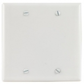 2139W-BOX WHT SWITCH PLATE 2G