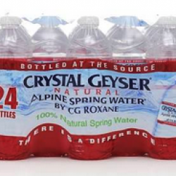 24514-7 SPRING WATER 16.9OZ