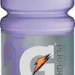 32488 GATORADE 20-OZ RPTIDE RUSH