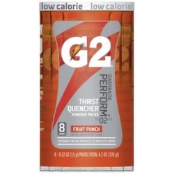 32866 20OZ.FRUIT PUNCH GATORADE