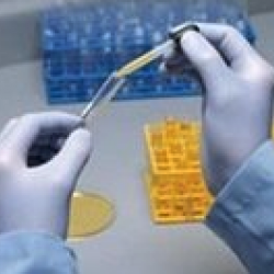 PVG-100G DISPOSABLE GLOVE 100PK
