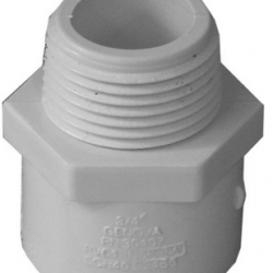 30407 PVC-40 3/4 MIP ADAPTER