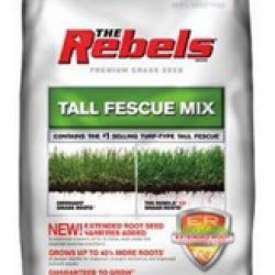 81768 3LB REBELS GRASS SEED MIX