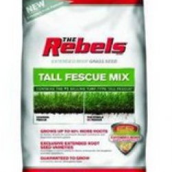 81770 7LB REBELS GRASS SEED MIX