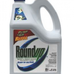 ROUNDUP WEED/GRASS KILLER REFILL
1.25 GAL.  ORDER
SKU 2225605 WHEN OUT