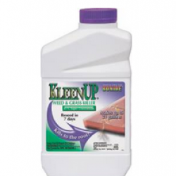 7461 KLEENUP QT CONCENTRATE   
LO