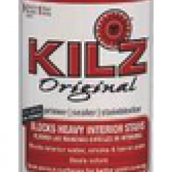 10004 KILZ 13OZ STAIN KILLER