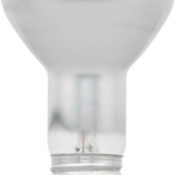 10077 35W R20 HALOGEN FLOOD