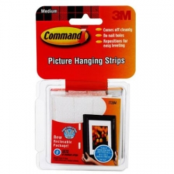 17204 PICTURE HANGING STRIPS M