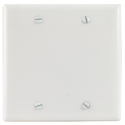 2139W-BOX WHT SWITCH PLATE 2G