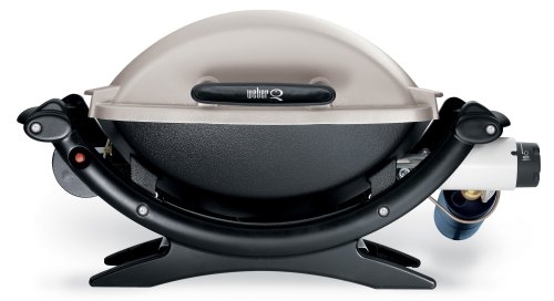 Weber Q100 () Weber Q100